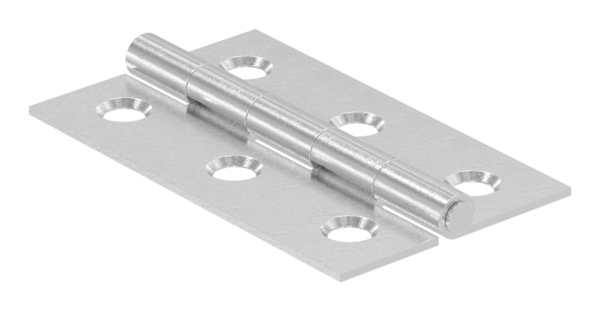 Charnière 50 x 30mm avec axe fixe