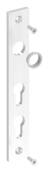 Langschild fuer zwei Profilzylinder- V2A-88-1116062.240