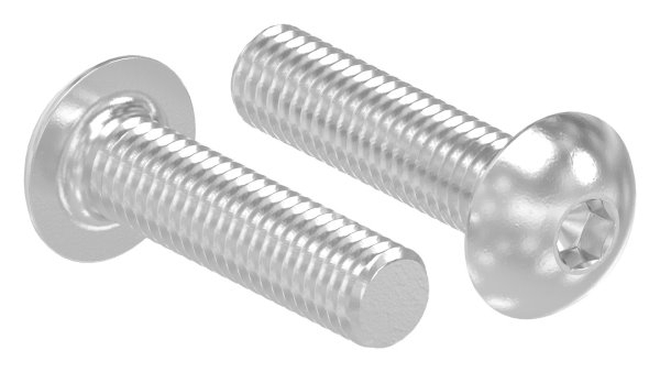 Vis à tête ronde M5x20 mm V4A