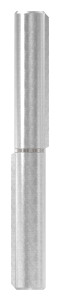 Sangle à souder, longueur : 160mm, embout fixe, V2A