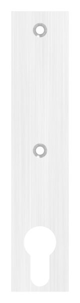 Langschild- Abmessung- 32 x 156 x 6mm- V2A-88-1110678.240