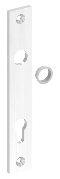 Langschild- Abmessung- 32 x 220 x 6mm- V2A-88-1110691.240