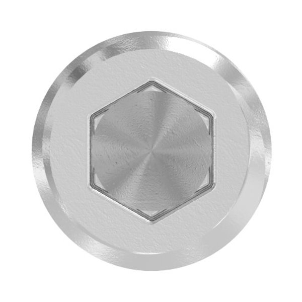 Gewindestift M8 x 30 mm- V2A-10-50M830.4