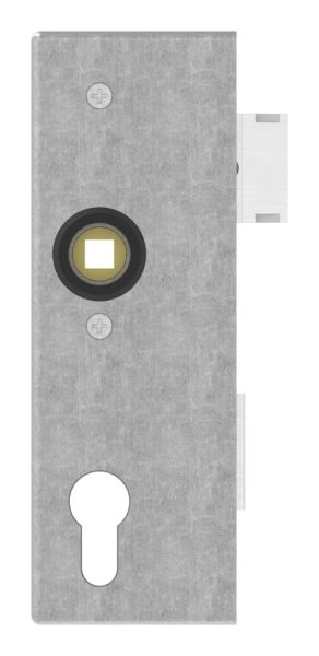Schlosskasten - Masse- 173x60x30 mm - Dorn- 40 mm - Stahl -roh- S235 JR Abstand 72 mm-30-3200.8