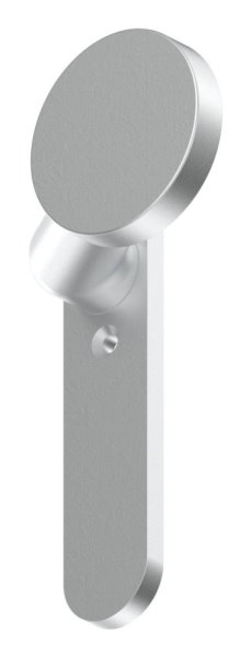 Bouton de porte en aluminium | avec plaque courte en aluminium | aluminium EV1
