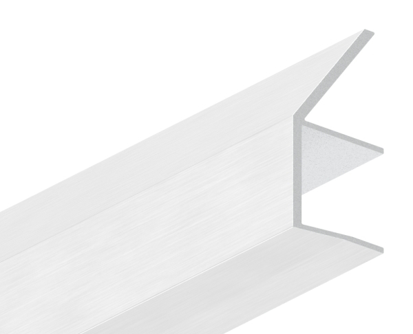 Regenrinne Aluminium eloxiert fuer Glas 17-52 mm- L=1800 mm Edelstahloptik-88-11VDE-RE-1800.17