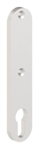 Alu-Zylinderkurzschild - Masse- 32x156x7 mm - blind - Aluminium EV1-12-3032.6