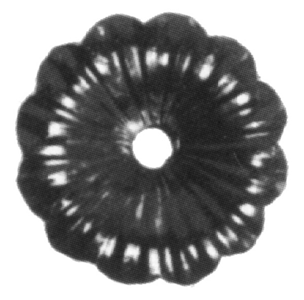 Rosette / garniture | Ø 95x3 mm avec perforation | acier (brut) S235JR