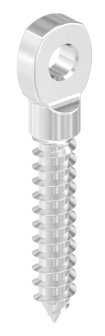 Augenschraube V4A Holzgewinde 8 mm flacher Kopf-11-2998.1