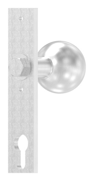 Tuerknopf Edelstahl V2A Ø 50 mm mit Langschild feststehend geschliffen Korn 240-88-1156646.240