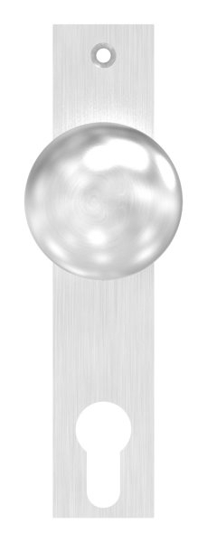 Tuerknopf Edelstahl V2A Ø 50 mm mit Langschild feststehend geschliffen Korn 240-88-1156646.240