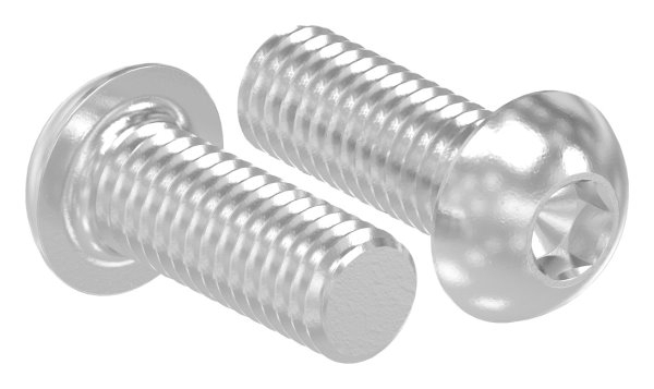 Vis à tête ronde M6x16 mm V2A