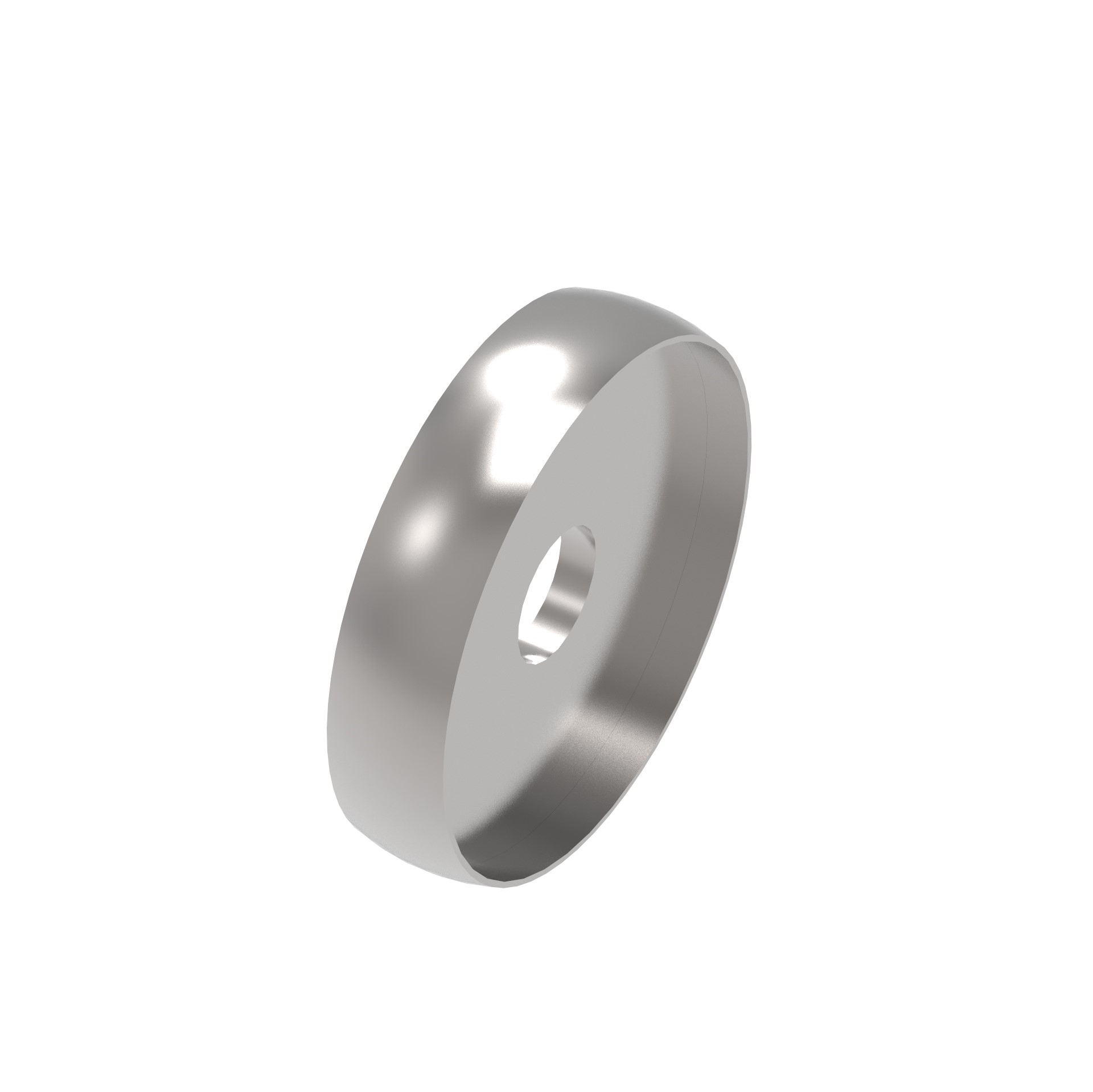 Kugelring Edelstahl AISI 304 D42-4x2 geschliffen-89-11A74211-A.4